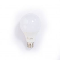 Bulb-12-1-3e6yysuujwrnanbeqwuuww.jpg